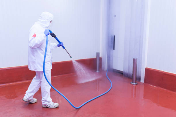 Best Building Exterior Washing  in Cheat Lake, WV